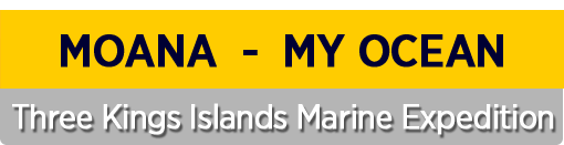 The Three Kings Islands Marine Expedition