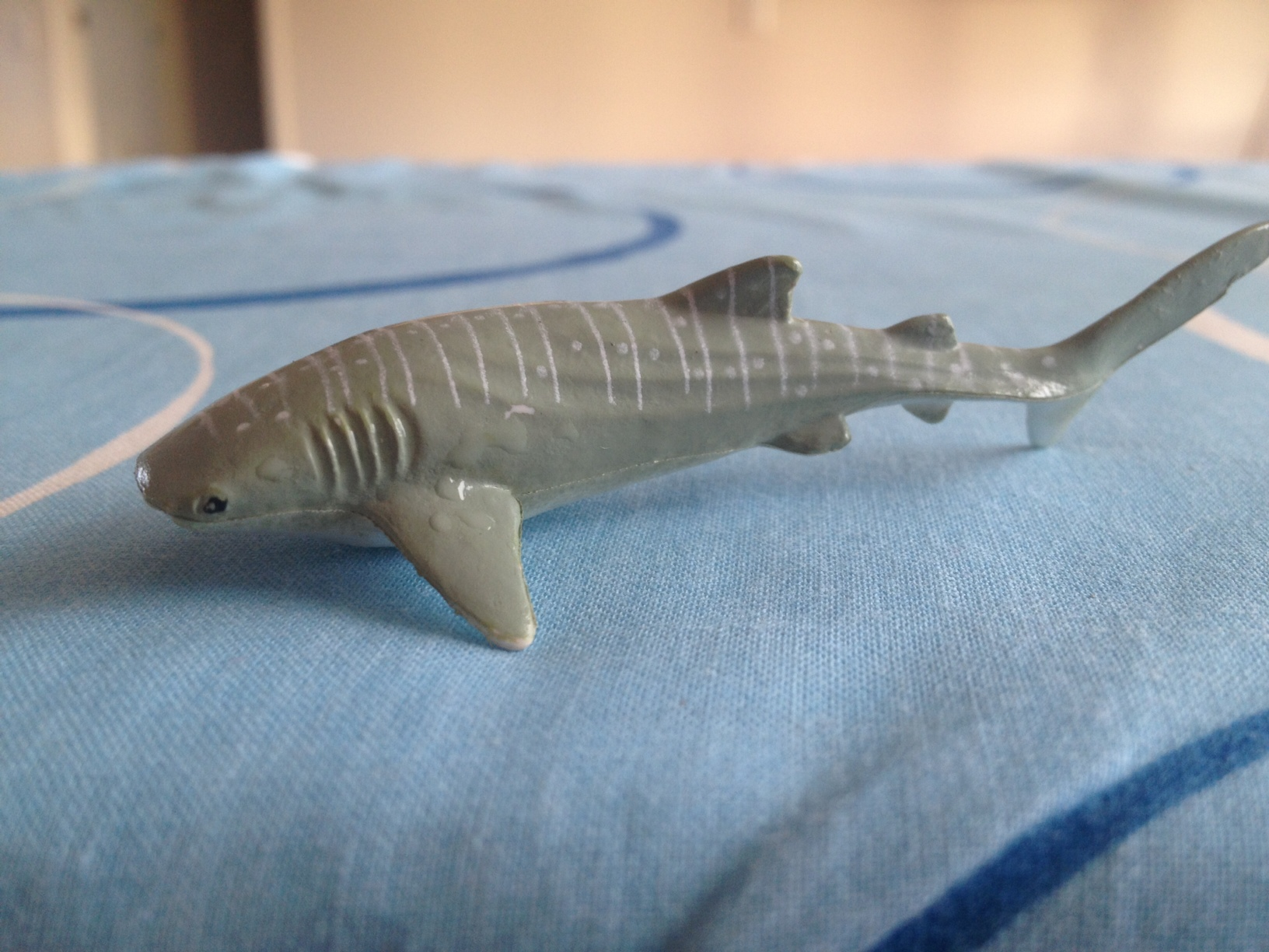 A whale shark - the world's largest fish. Disclaimer: this may not be a real one as the team hasn't spotted (or photographed) one in the Three Kings