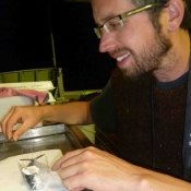 Collection technician Ged Wiren pins a fish.  © Auckland Museum