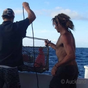 Crew members Dan and Karl about to drop the hagfish trap over the back of Braveheart © Auckland Museum