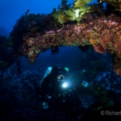 Before the swells rolled in and imposed a brief diving hiatus we went diving near the site of the Elingamite wreck. © Richard Robinson