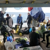 Getting ready for a dive.  © Auckland Museum
