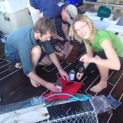 Kareen and Vincent a hagfish trap and an isopod trap ready © Auckland Museum