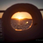 © Richard Robinson