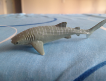 Do fish have tongues? ... and other questions
